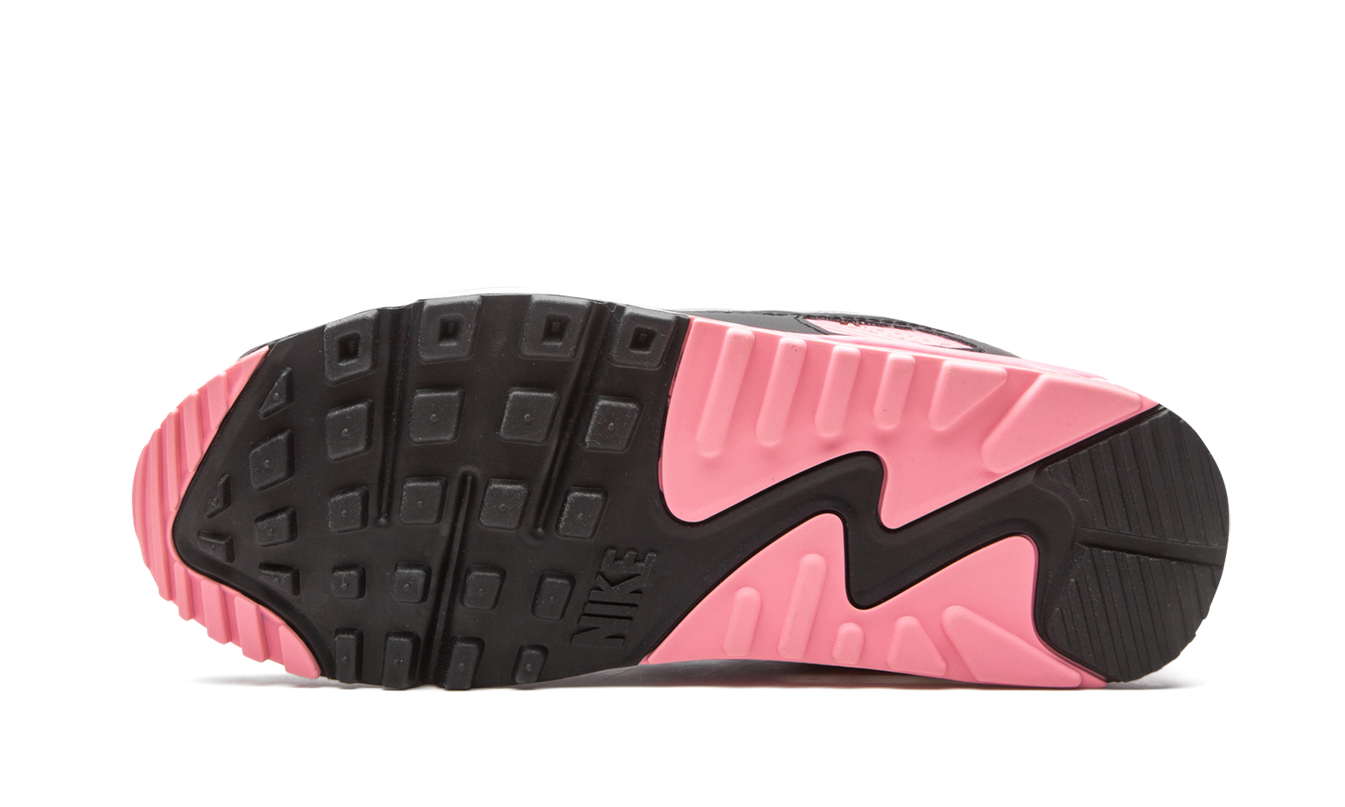 Nike Air Max 90 WMNS "Rose"