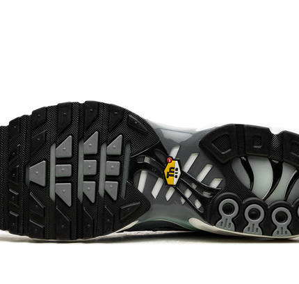 Nike Air Max Plus "Waterway"
