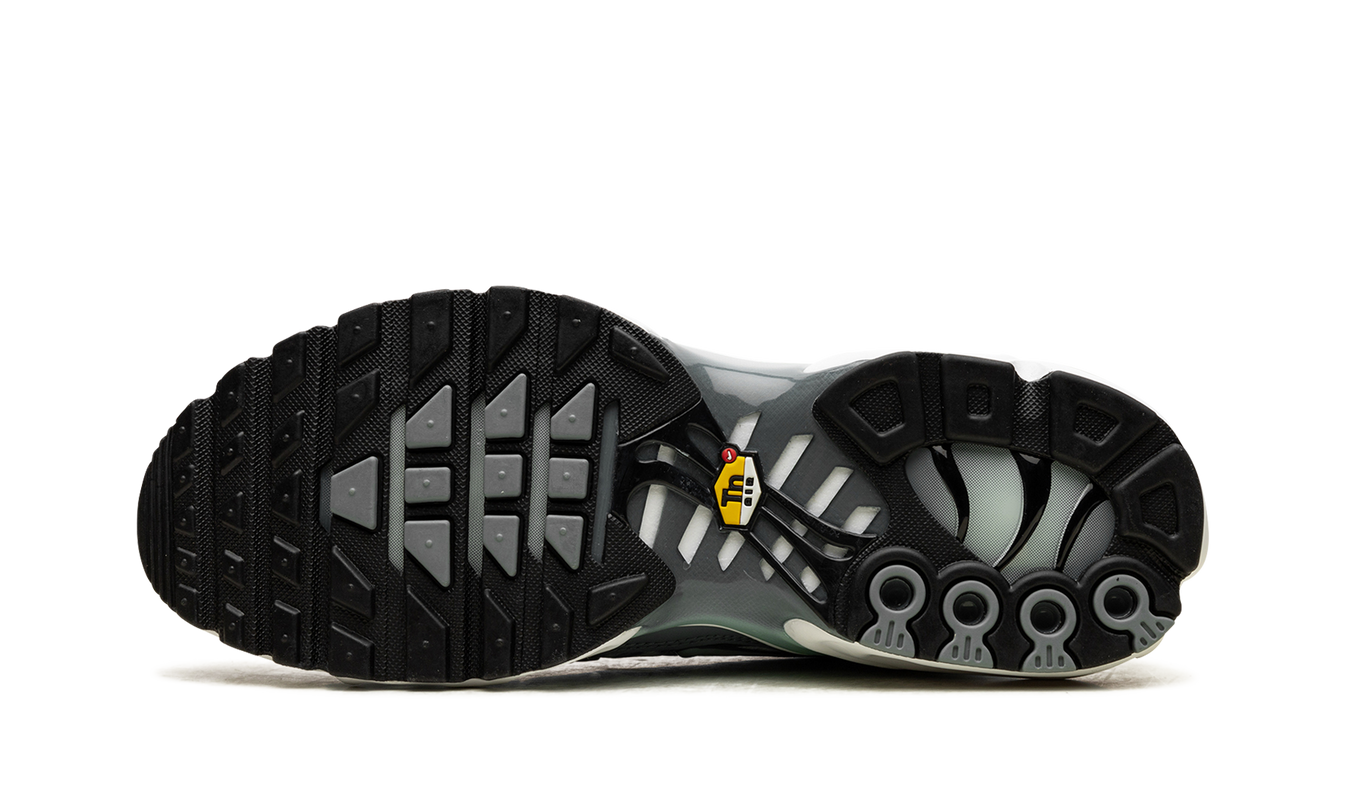 Nike Air Max Plus "Waterway"