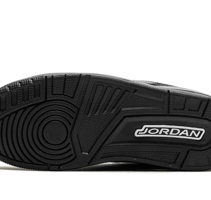 Air Jordan 3 "Black Cat 2025"