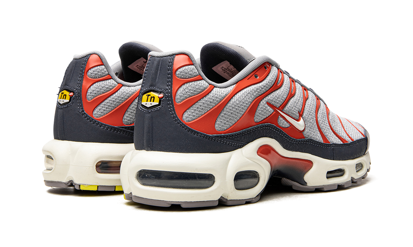 Nike Air Max Plus "USA Grey"