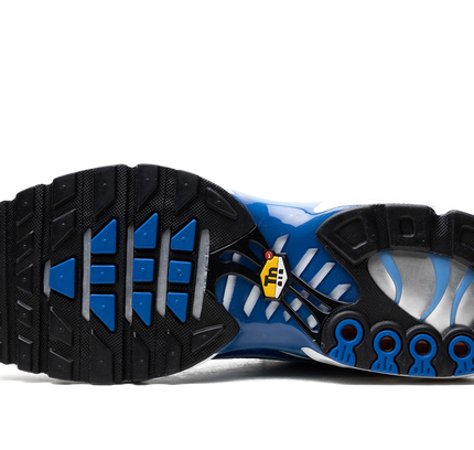 Nike Air Max Plus "Light Streaks"