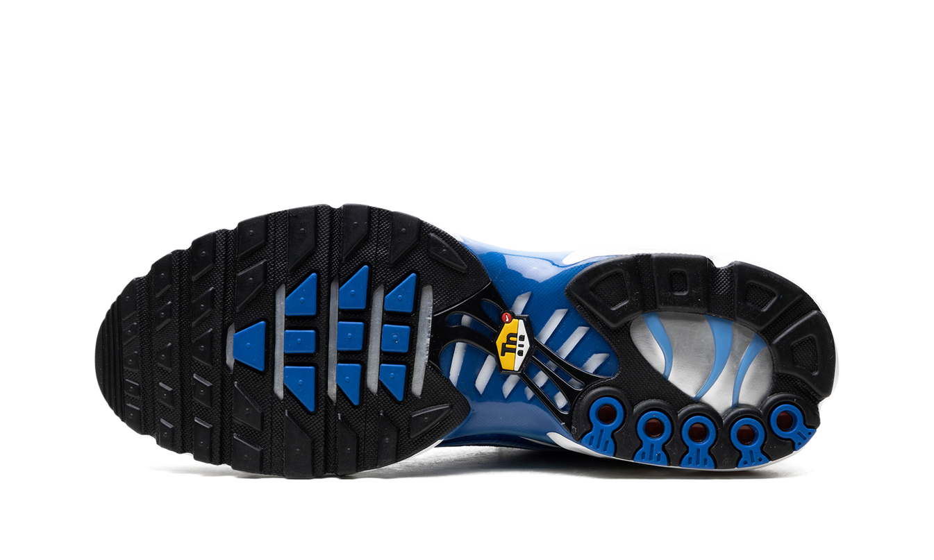 Air Max Plus „Light Streaks“