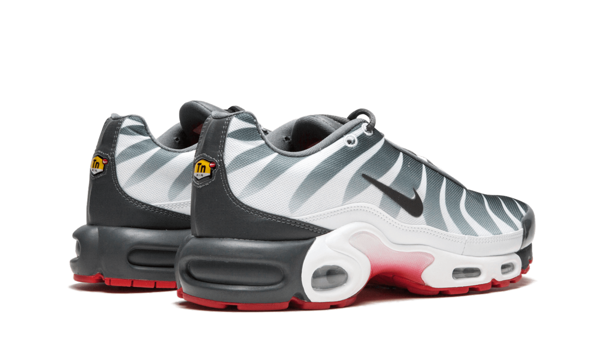 Nike Air Max Plus TN "SE"