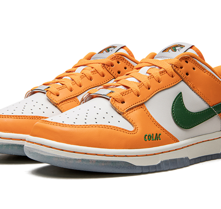 Nike Dunk Low "Florida A&M"