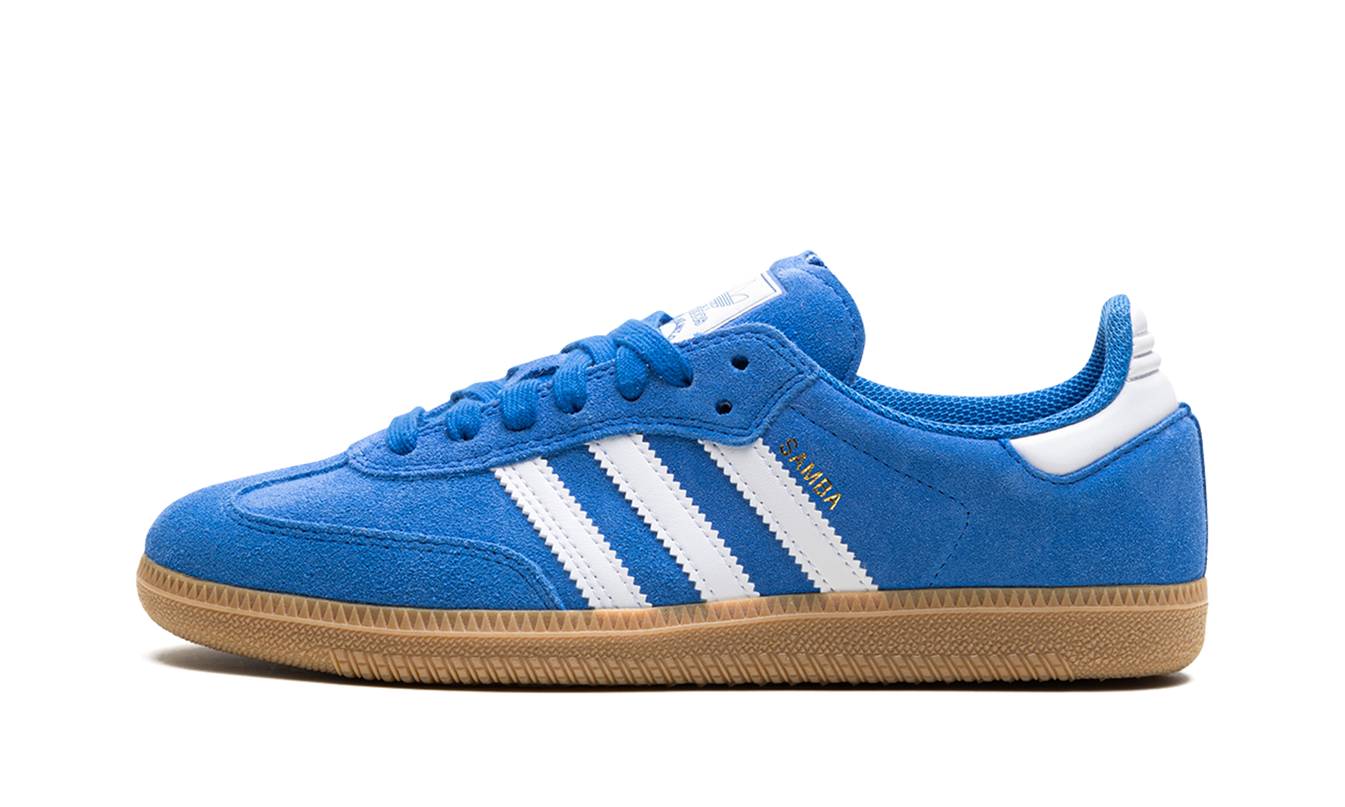 Adidas Samba Adv "Blue Bird"