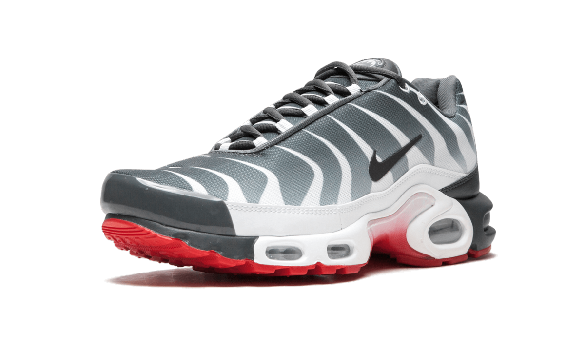 Nike Air Max Plus TN "SE"