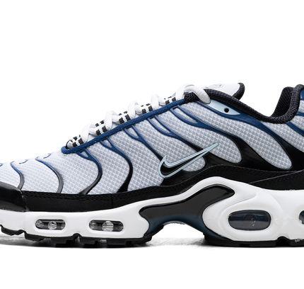 Nike Air Max Plus "Pure Platinum/Black"