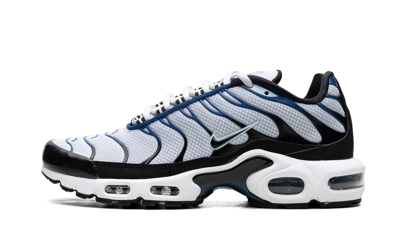 Nike Air Max Plus "Pure Platinum/Black"