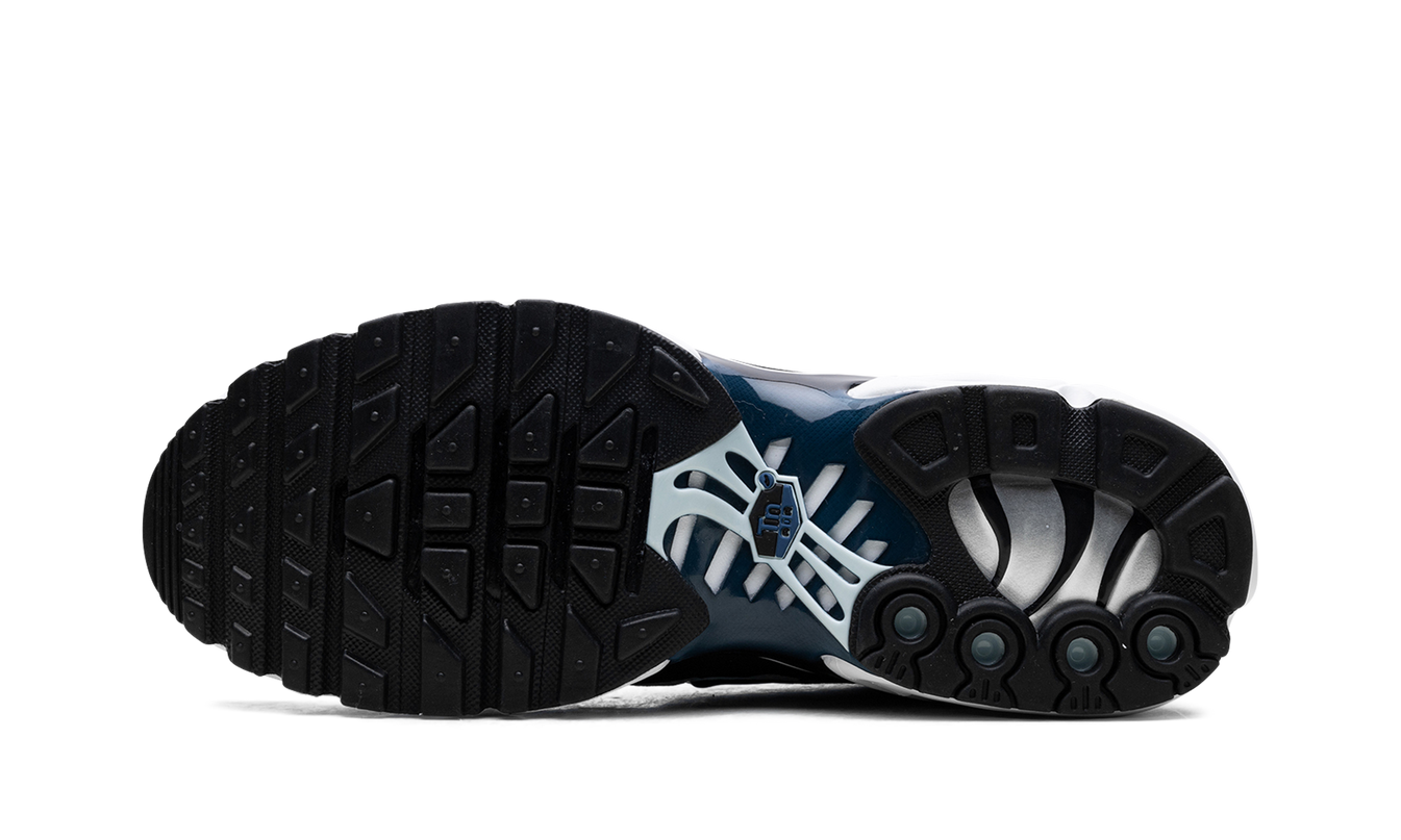 Nike Air Max Plus „Pure Platinum/Schwarz“