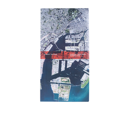 Benjamin Grant Overview "Tokyo 1000%"