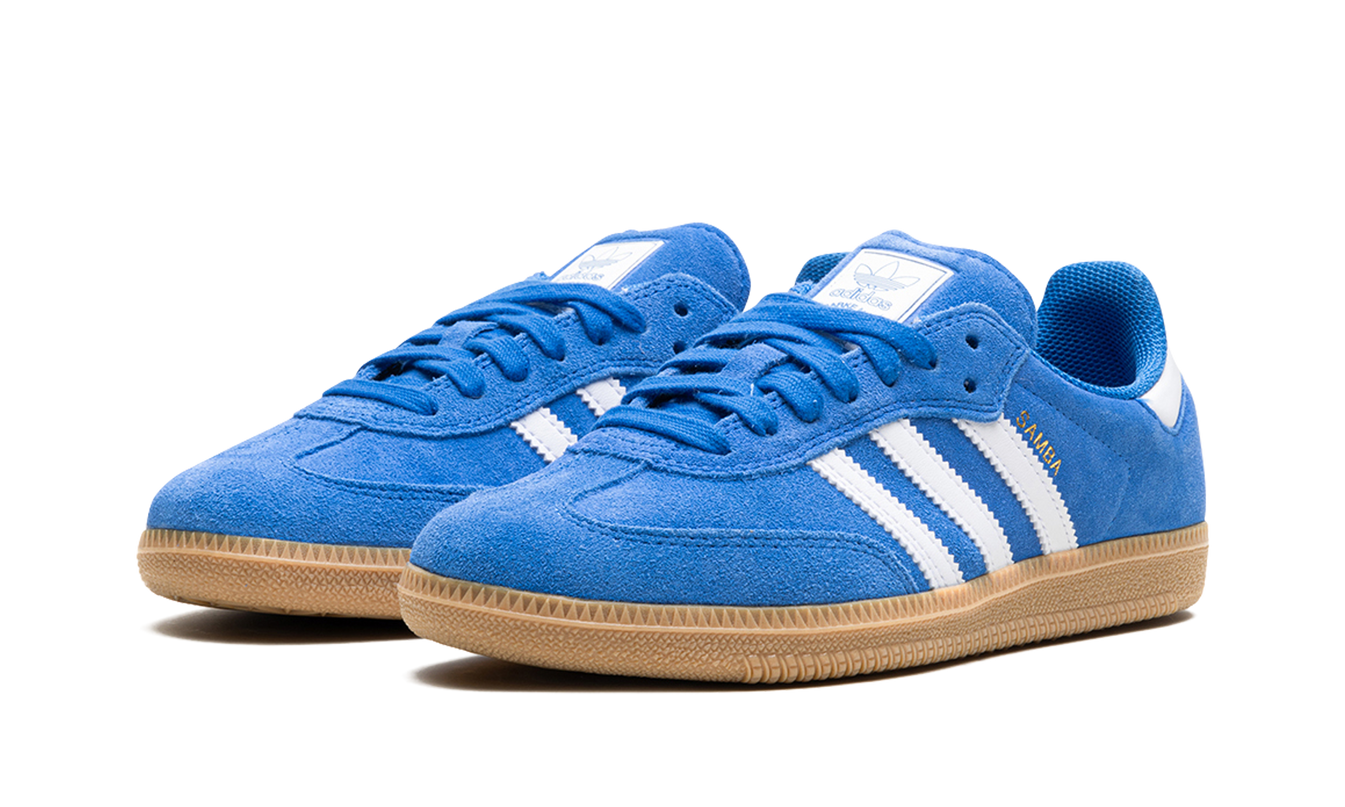 Adidas Samba Adv "Blue Bird"