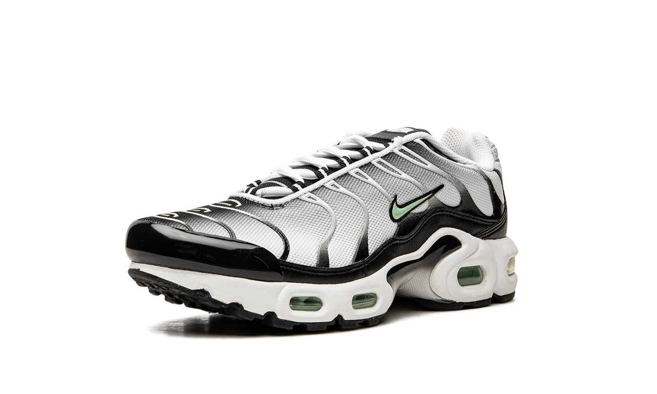 Nike Air Max Plus GS