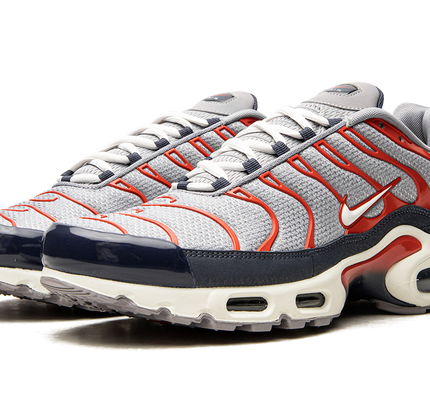 Air Max Plus „USA Grey“