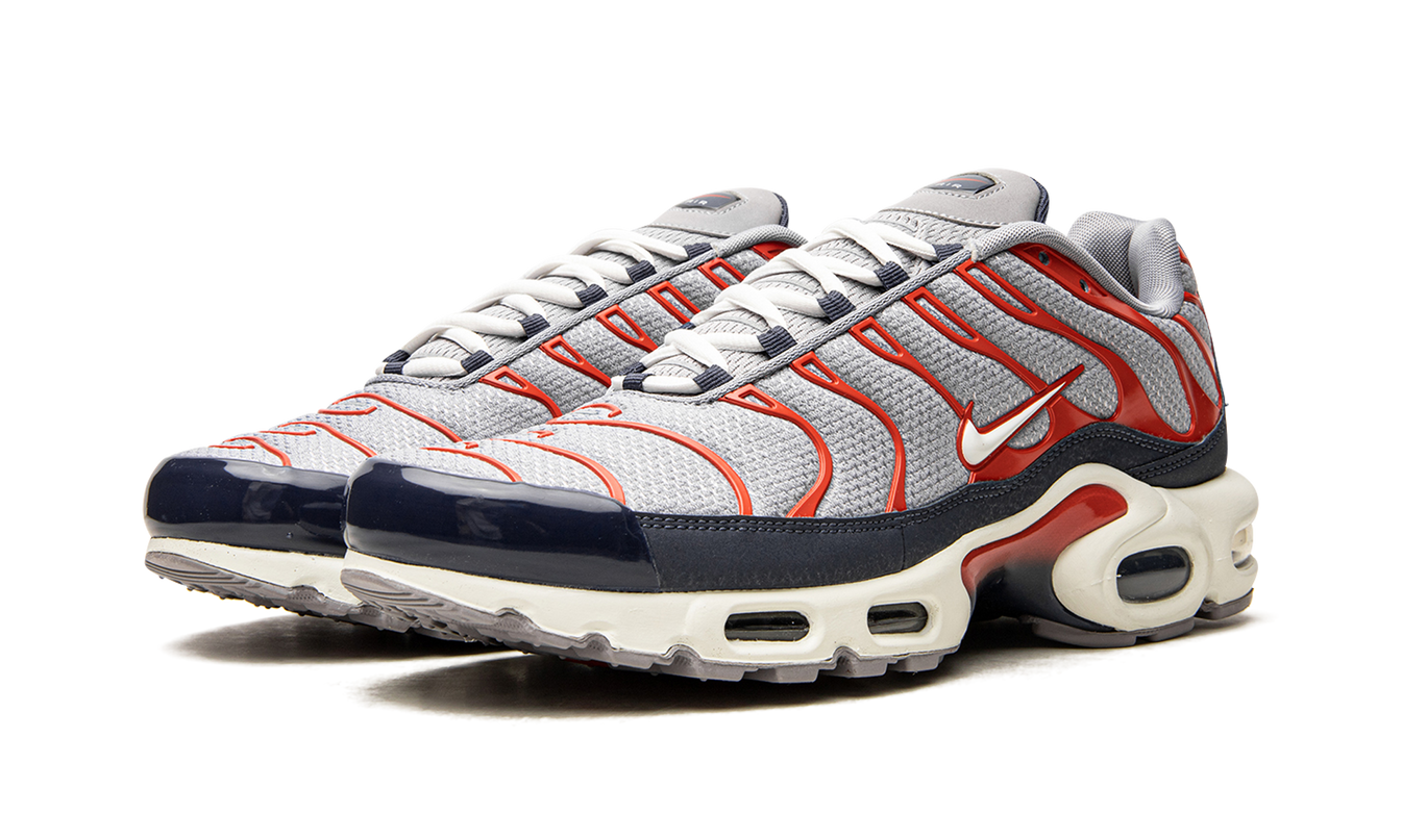 Air Max Plus „USA Grey“