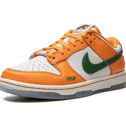 Nike Dunk Low "Florida A&M"