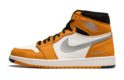 Air Jordan 1 Element GORE-TEX 