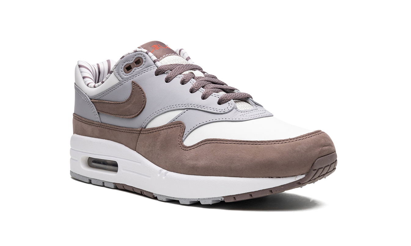 Nike Air Max 1 "Shima Shima"