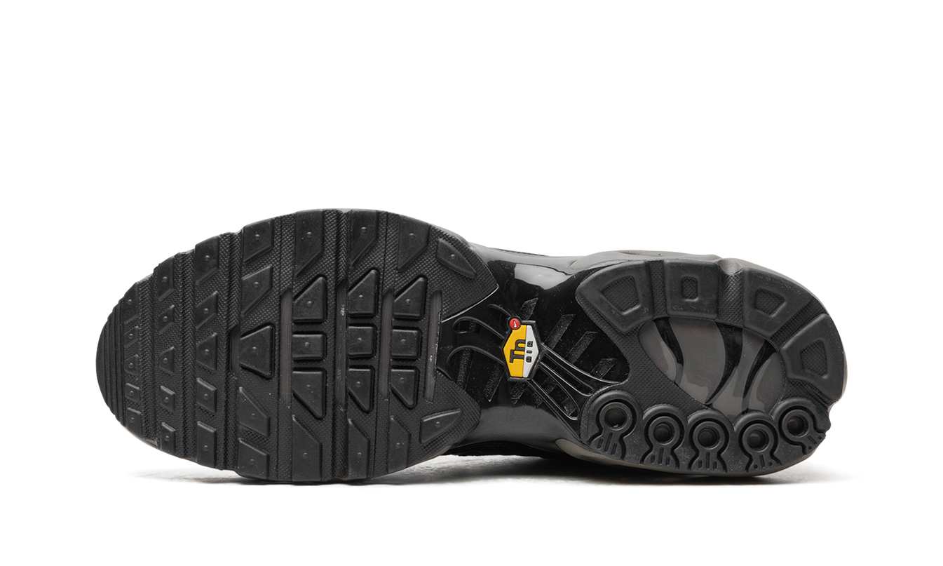 Air Max Plus "Black Tea / Petra Brown" "Black Tea / Petra Brown"