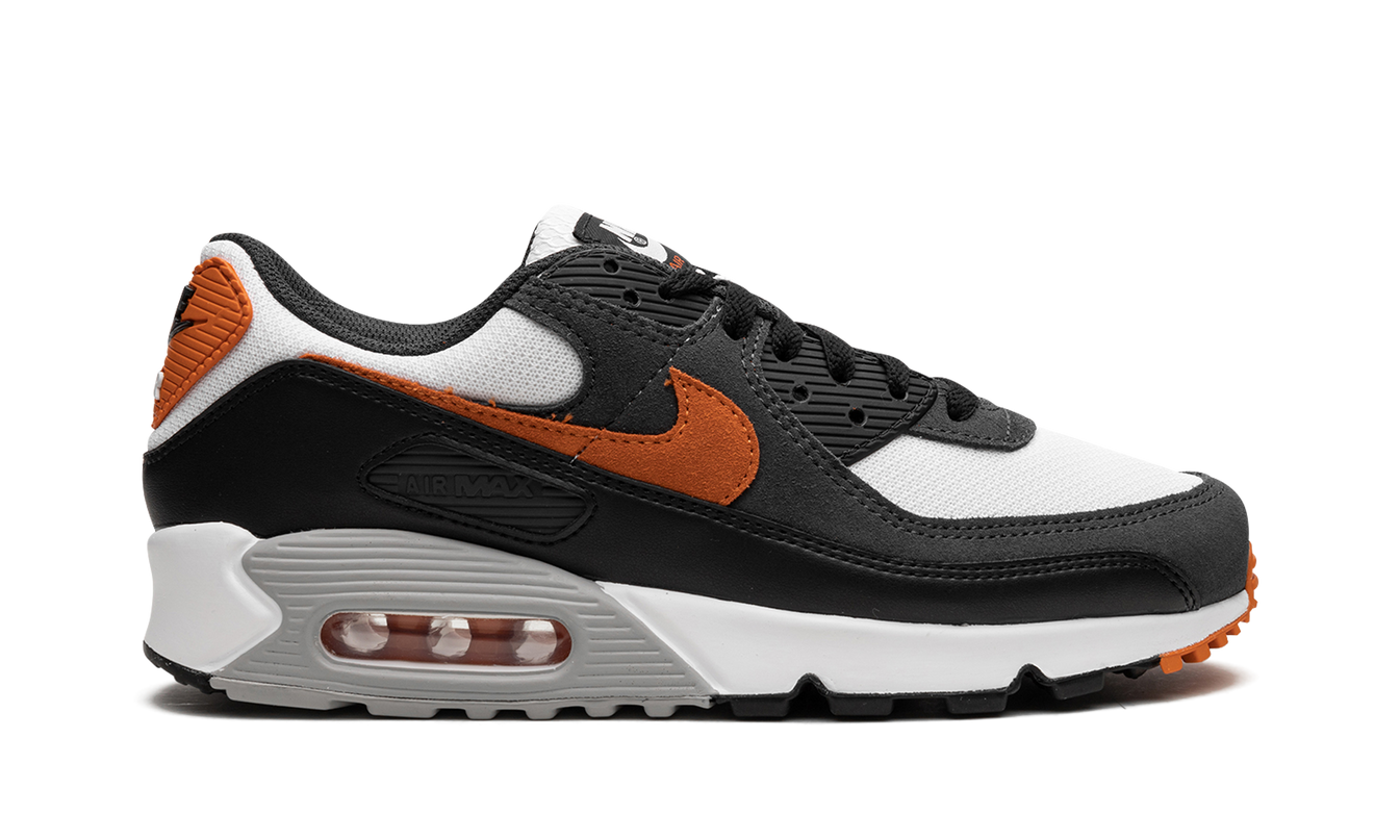 Nike Air Max 90 "Starfish"