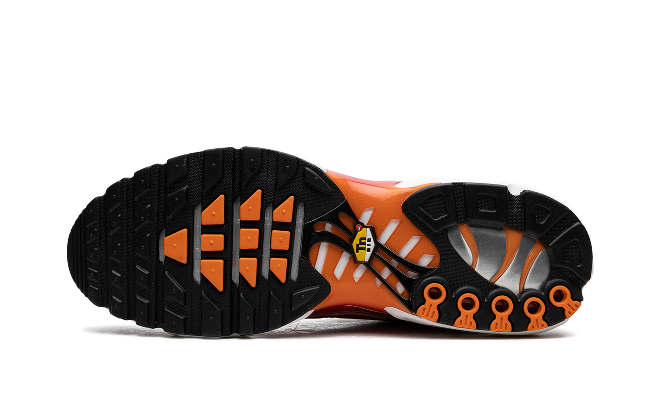 Air Max Plus „Lichtfotografie – Sportrot“