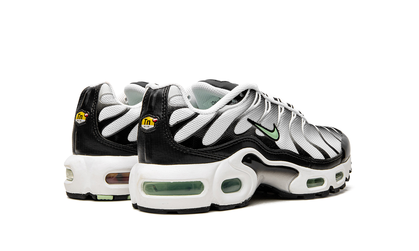 Nike Air Max Plus GS
