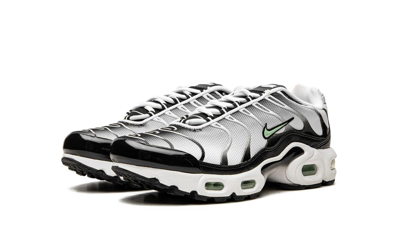 Nike Air Max Plus GS