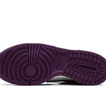 Nike Dunk Low GS "Viotech"