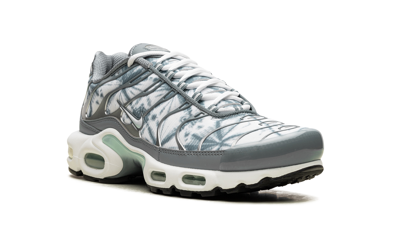 Nike Air Max Plus "Waterway"