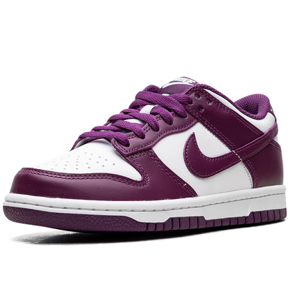 Nike Dunk Low GS "Viotech"