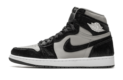 Air Jordan 1 WMNS 