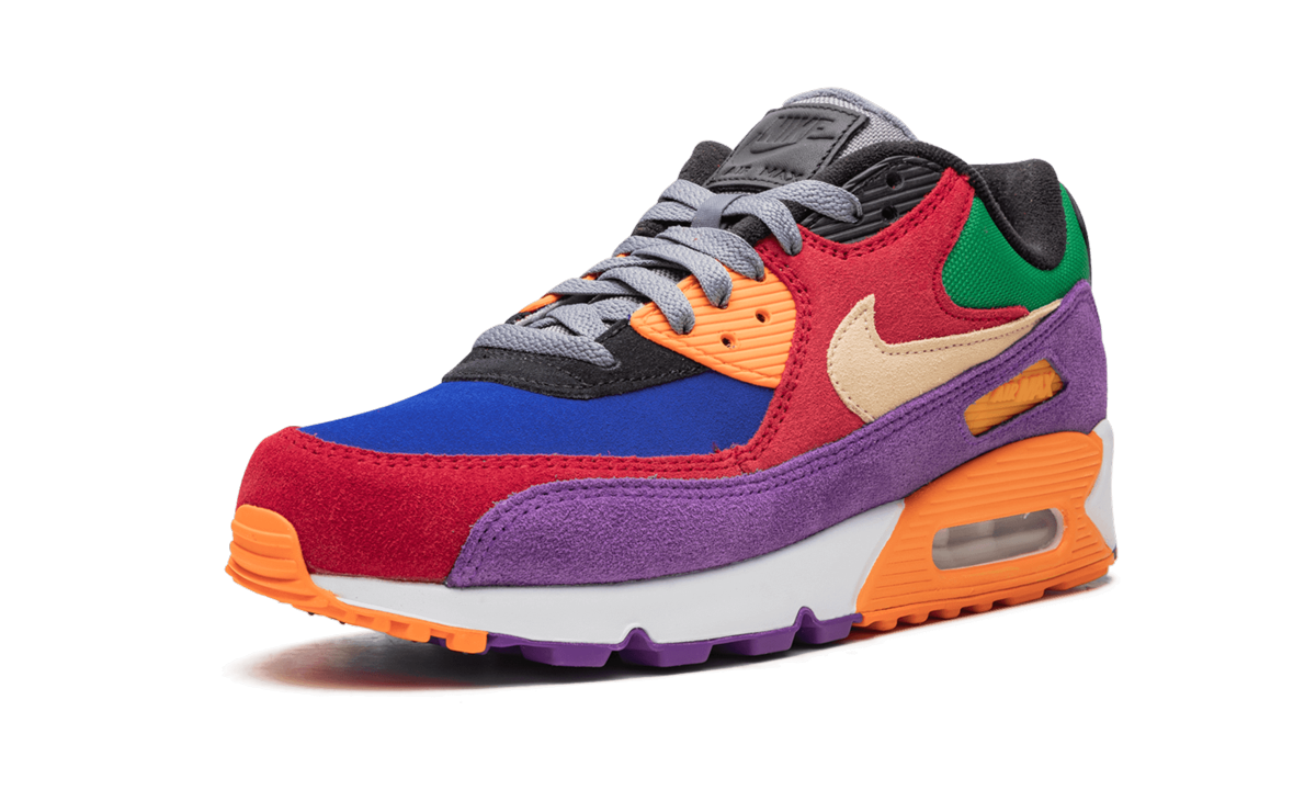 Nike Air Max 90 "Viotech"