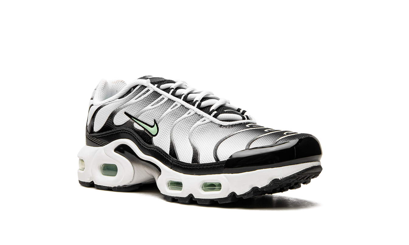 Nike Air Max Plus GS