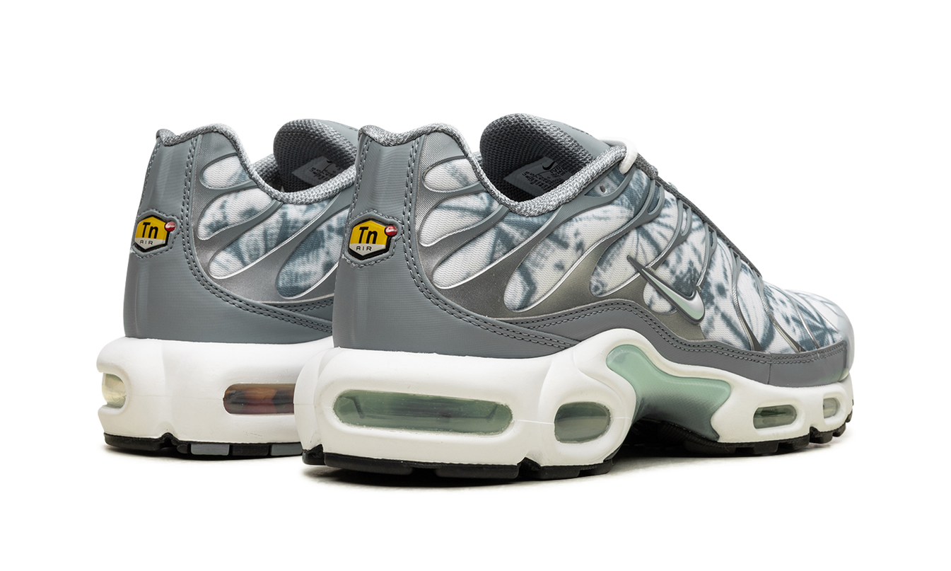 Nike Air Max Plus "Waterway"