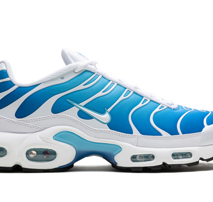 Nike Air Max Plus "Blue Gaze"